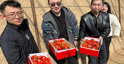 采出歡樂(lè)·莓你不行